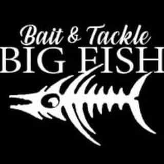 Big Fish Olbia logo