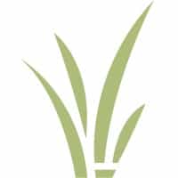 SugarMeSmooth logo