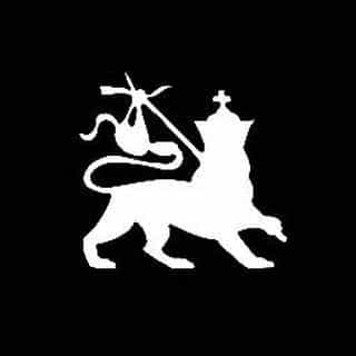 Cat In The Bag Shop logo
