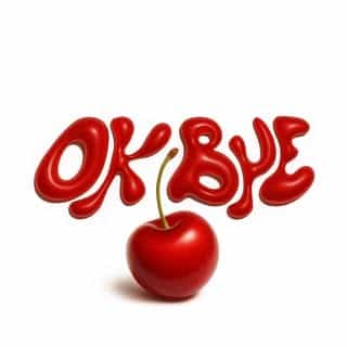 Ok Bye.ca logo