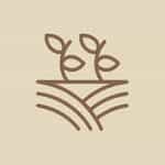 My Store logo