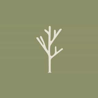 Manimal Footgear logo