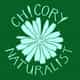 Chicory Naturalist logo