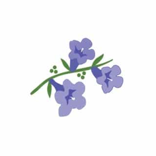 Jacaranda Living logo
