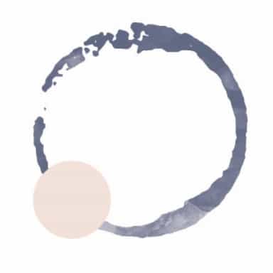 Wash with Water logo