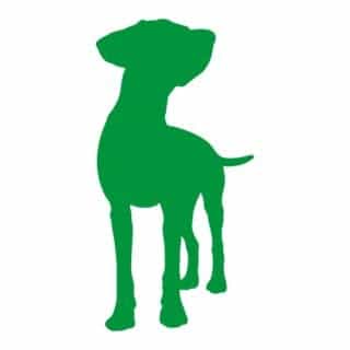 HEALTHY SPOT logo