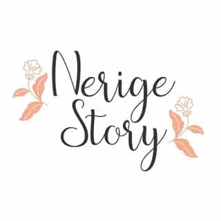 NerigeStory logo