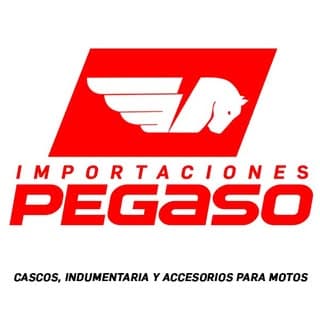 Importaciones Pegaso logo