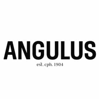 ANGULUS logo