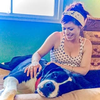 Reincarnated with Love logo