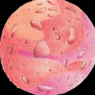 The Little Red Planet logo