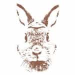 Fashion Toys logo