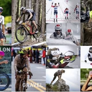 Montreal Internationnal Sports logo