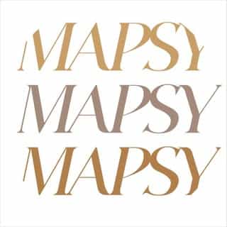 Mapsy B.V logo