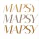 Mapsy B.V logo