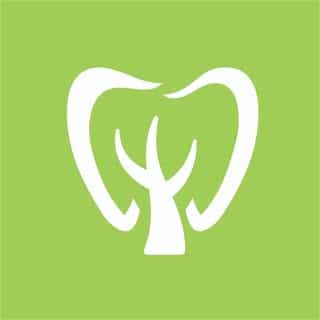 BIGtree - Mi tienda.dental logo