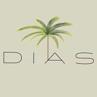 Dias Rio de Janeiro logo