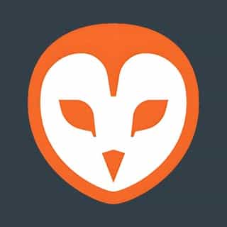 Barn Owl Tech logo