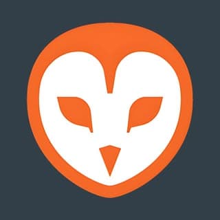 Barn Owl Tech logo
