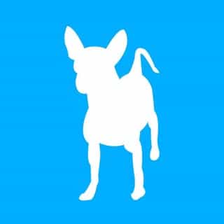 Doggie Style Pets logo