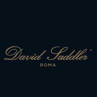 DavidSaddler logo