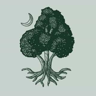 Woodlanders logo