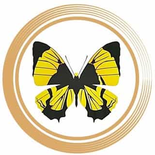 COLLE BLISS BEAUTY logo
