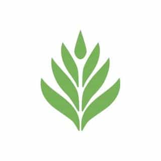 Rainforest Flora logo