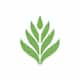 Rainforest Flora logo