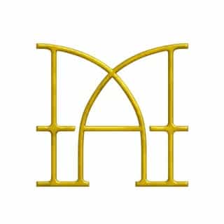 Anomalia Paris logo
