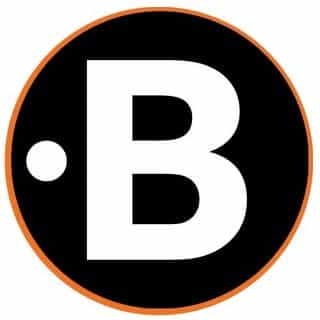 Thebodyspanner logo