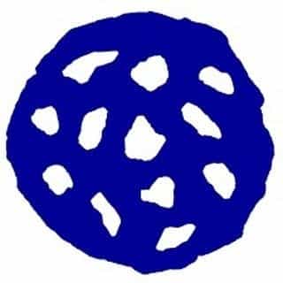 Levain Bakery logo