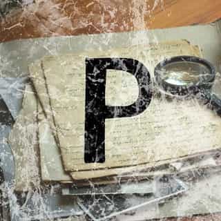 Puzzling Pursuits logo
