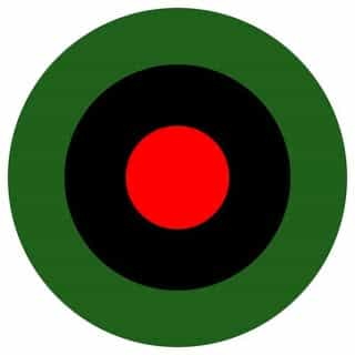 iGUANEYE logo