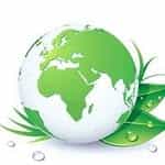 Sammy's Plant World logo