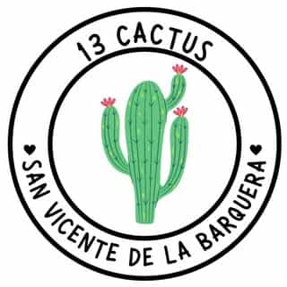 13 Cactus logo