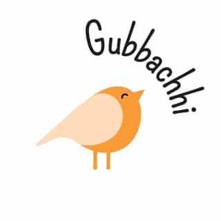 GUBBACHHI logo