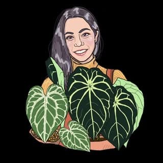 Plant Collector Melbourne logo