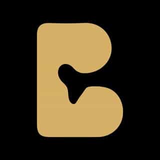 Baja In Ears logo