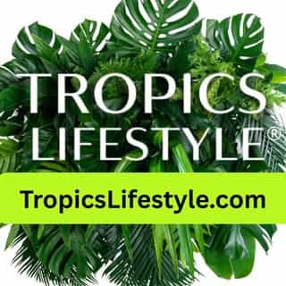 Tropics Lifestyle Store logo