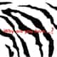 Why are you here? logo