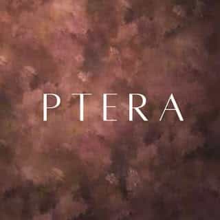 Ptera Jewelry logo