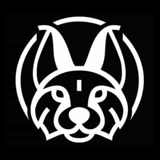 CARACAL logo