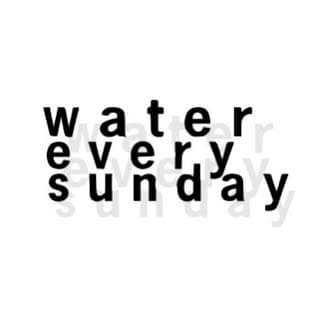 watereverysunday logo