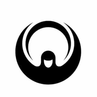 Dlux Professional logo