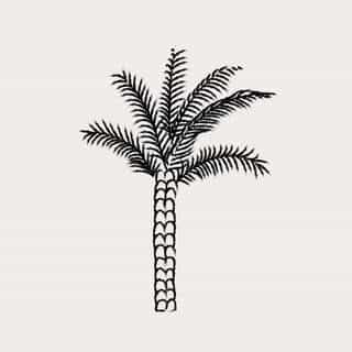 maison omani logo