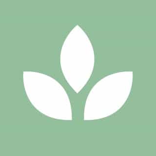 Luminova logo