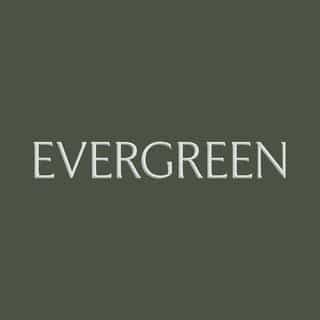 Evergreen Trees Direct logo