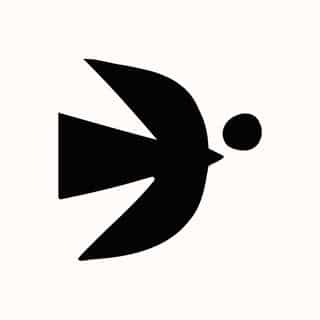 Salty Cosmos logo