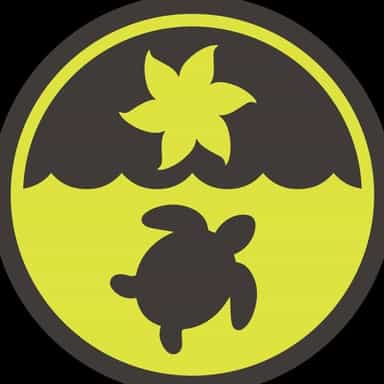 Raw ElementsUSA logo